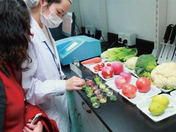 有機蔬菜配送：新鮮、健康、直送到家