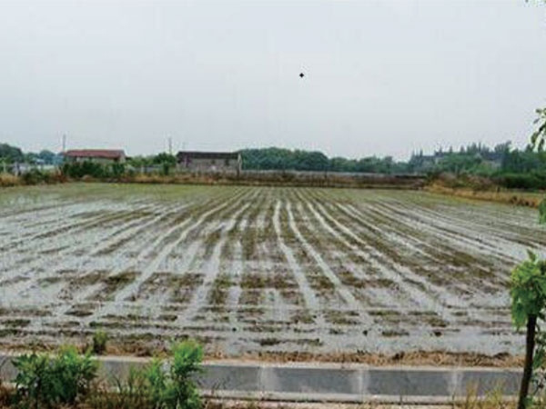 生態基地